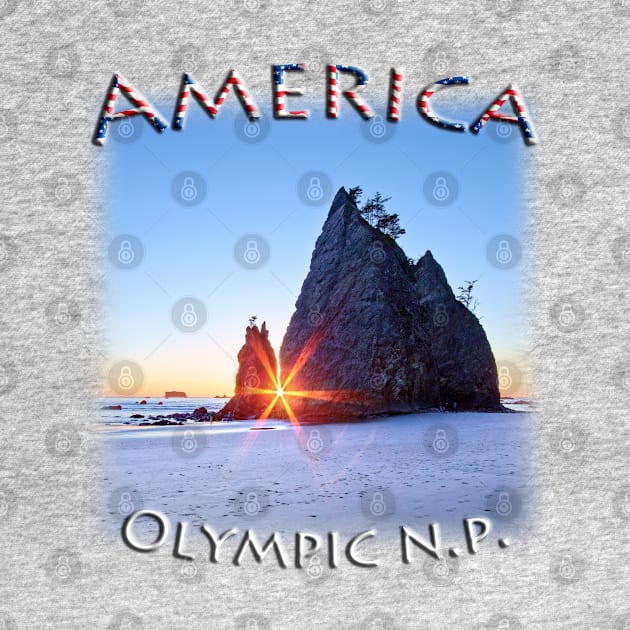 America - Washington - Olympic National Park by TouristMerch